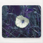 Purple Bug Mouse Mat