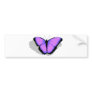 Purple Butterfly!