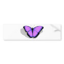Purple Butterfly! bumper stickers