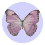 Purple Butterfly Sticker