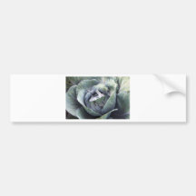 purple cabbage bumper sticker