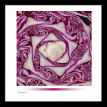 purple cabbage poster posters