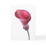Purple Calla Lily Card
