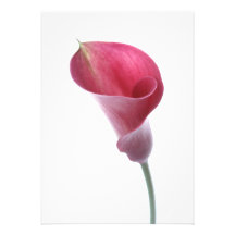 Purple Calla Lily Invitation