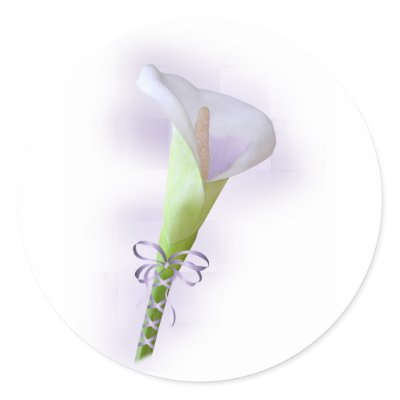 Purple Calla Lily Stickers by AJsGraphics