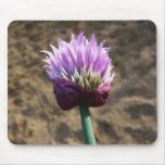 Purple Chive Herb Flower Bloom mousepads
