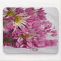 purple chrisanthemums mousepads