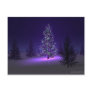 Purple Christmas Tree Post Card