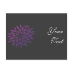 Purple Chrysanthemum