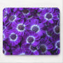 Purple Cineraria Mouse Pads