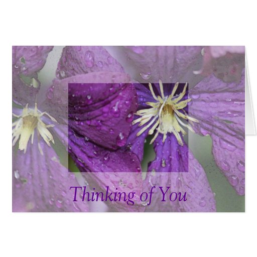 Purple Clematis Card