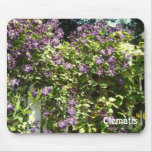 Purple Clematis Garden Mousepads