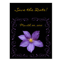 Purple Clematis Post Cards