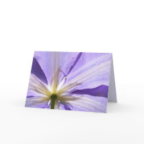Purple clematis - Sympathy card