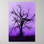 Purple Clouds and Tree posters