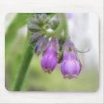Purple Comfrey Flowers mousepads