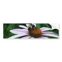 Purple Cone Flower with Bumble Bee Bumper Stickers