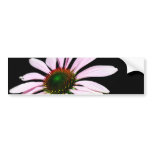 Purple Coneflower Bumper Sticker