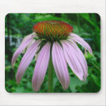 Purple Coneflower Mousepad