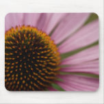 Purple Coneflower Mousepad