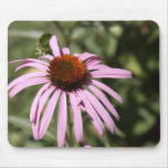 Purple Coneflower mousepads