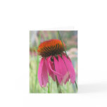 Purple Coneflower Note Card