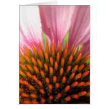 Purple Coneflower "Thinking of You" Card