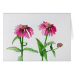 Purple Coneflowers cards
