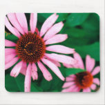 PURPLE CONEFLOWERS mousepad