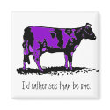 purple cow, I'd rather see than be one. magnets