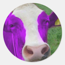 purple cow sticker