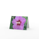 Purple Craze Note Card