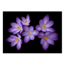 Purple Crocus ATC Business Card