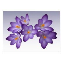 Purple Crocus ATC Business Card Templates