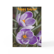 Purple crocus flowers ...  Easter card