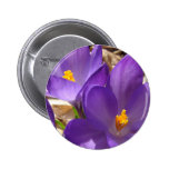 PURPLE CROCUS PINS
