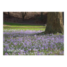 Purple Crocuses DSC5434 Personalised Invite
