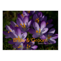 Purple Crocuses • Save the Date Mini Card Business Cards