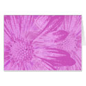 Purple Daisies Card