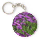 Purple Daisies Daisy keychains