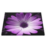 Purple Daisy Flower Canvas Print