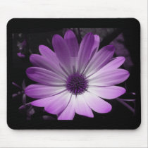 Purple Daisy Flower Mousepad