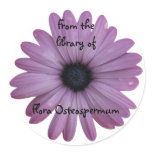 Purple Daisy Flower Osteospermum Custom Bookplate stickers