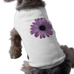 Purple Daisy Like Flower Osteospermum ecklonis pet clothing