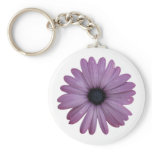 Purple Daisy Like Flower Osteospermum ecklonis keychains