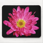 Purple  Daisy mousepads