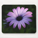 Purple Daisy mousepads