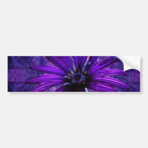 Purple Daisy Passion Bumper Stickers