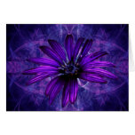 Purple Daisy Passion Card