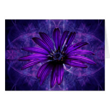 Purple Daisy Passion Card